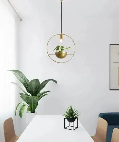 Modern nordic gold planter light ceiling pendant with circular ring design by Decorbites on Tampa Home & Garden Store
