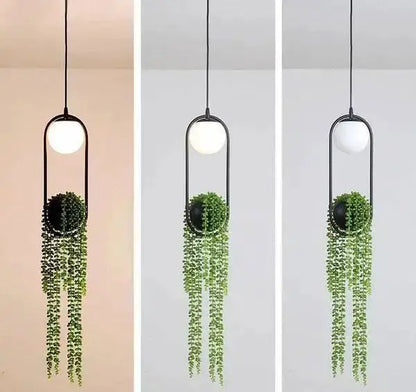 Decorbites modern planter pendant light with black frame and trailing greenery (3) on Tampa Home & Garden Store