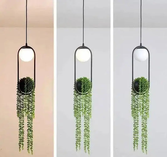 Decorbites modern planter pendant light with black frame and trailing greenery (3) on Tampa Home & Garden Store