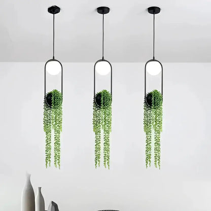 Modern planter pendant light trio by Decorbites, black frames with white globes and trailing greenery on Tampa Home & Garden Store
