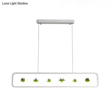 Black LED Succulent Chandelier with 5 green succulents on white frame by Decorbites on Tampa Home & Garden Store