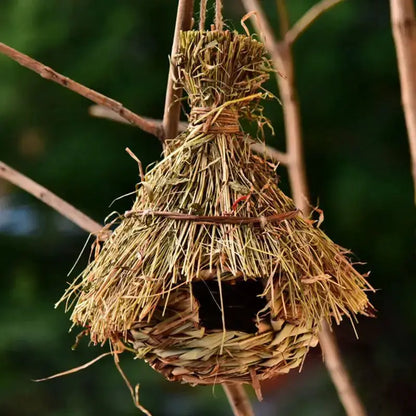 Handwoven natural grass parrot nest bird cage, rustic beige, hanging from twine Decorbites on Tampa Home & Garden Store