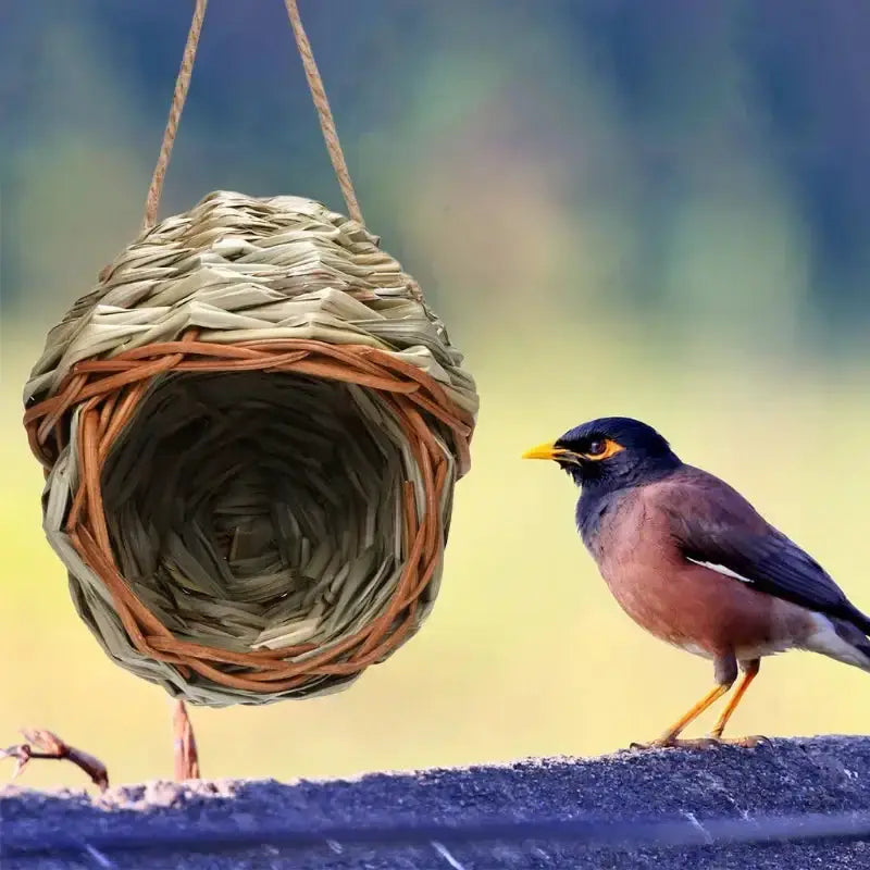Handwoven natural grass parrot nest bird cage with hanging cord by Decorbites on Tampa Home & Garden Store