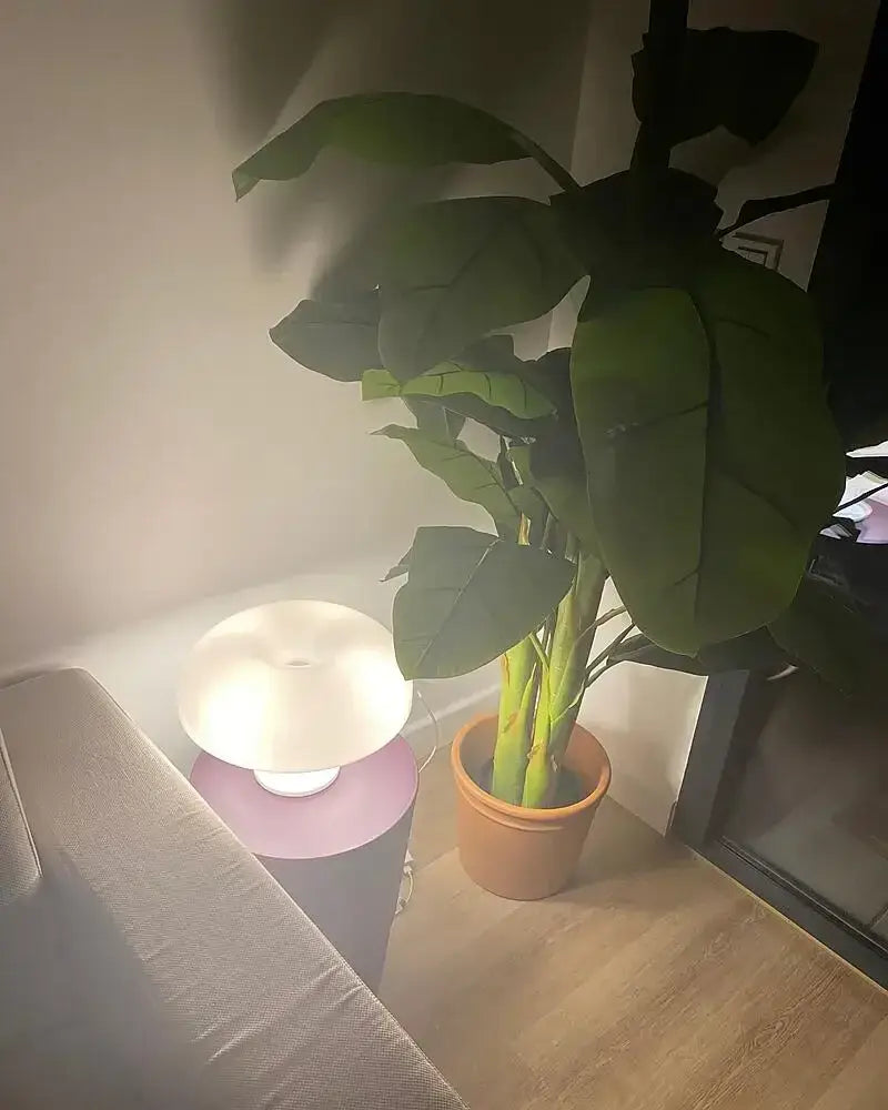 Black LED Mushroom Lamp with white dome shade and purple base, Decorbites bedside table lamp on Tampa Home & Garden Store