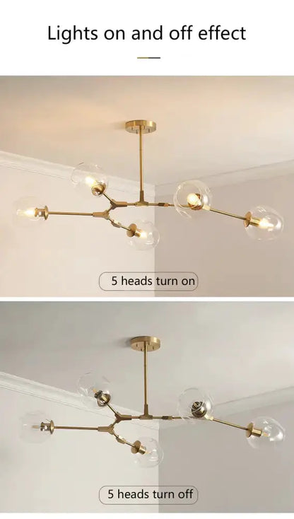 Chandelier by Decorbites five-arm brass with clear glass globes for dining room on Tampa Home & Garden Store