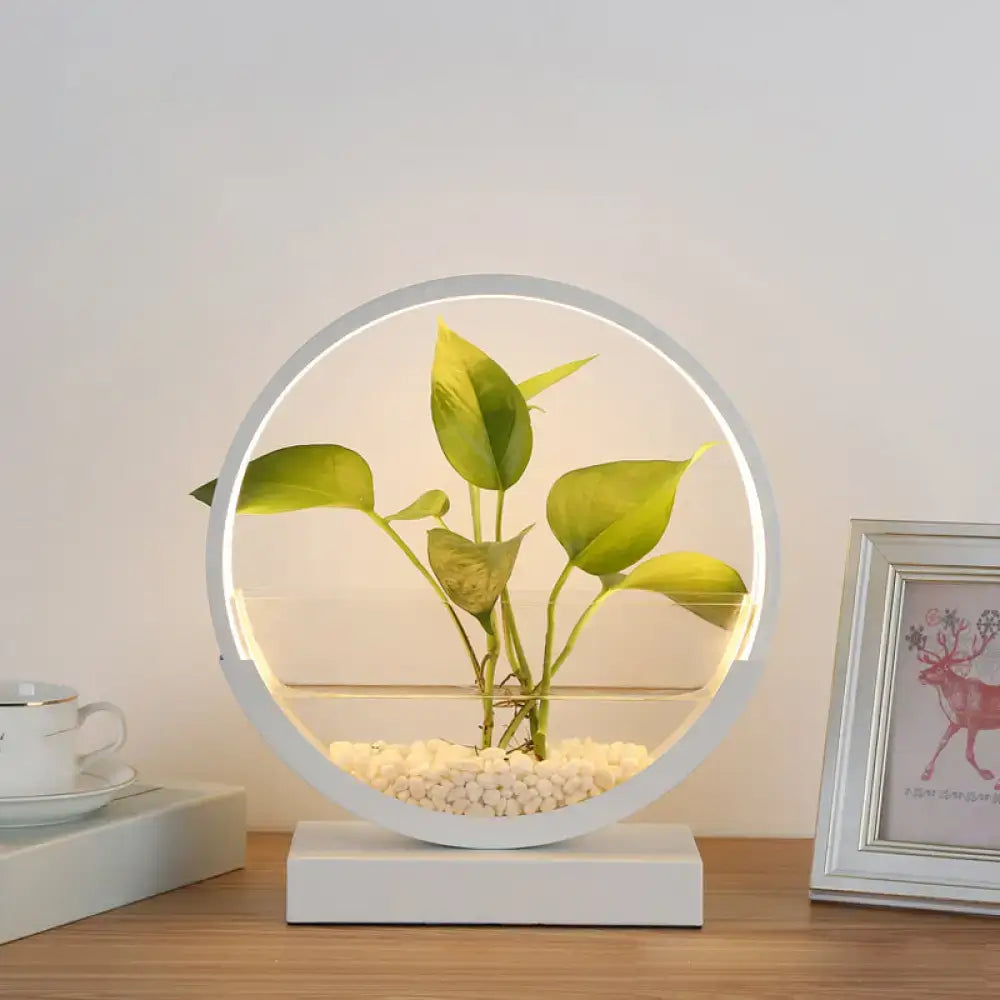 Metal Circle Table Lamp white LED ring encircles a green plant on white base with pebbles on Tampa Home & Garden Store