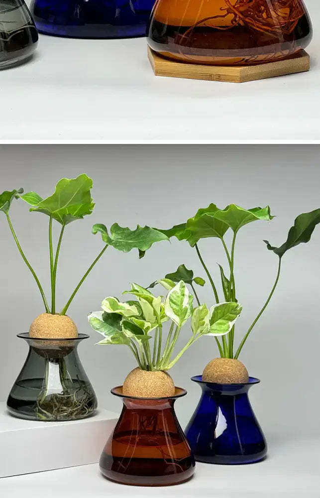 Decorbites Nordic glass vases trio in gray, amber and cobalt blue with cork toppers and greenery on Tampa Home & Garden Store
