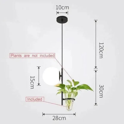 Decorbites modern black pendant light with glass globe planter, plants not included on Tampa Home & Garden Store