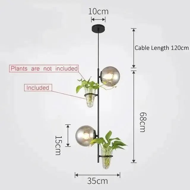 Modern black pendant planter light with two glass globes and hanging plants by Decorbites on Tampa Home & Garden Store