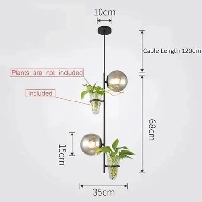 Modern black pendant planter light with two glass globes and hanging plants by Decorbites on Tampa Home & Garden Store