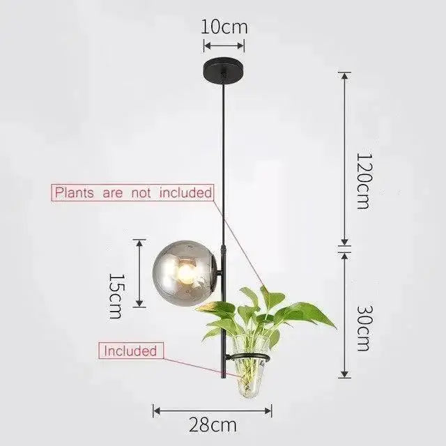 Decorbites modern black pendant ceiling light with glass globe and plant vase on Tampa Home & Garden Store