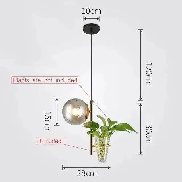 Modern black pendant planter light with glass globe ceiling fixture by Decorbites on Tampa Home & Garden Store