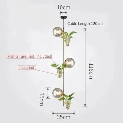 Decorbites black pendant planter light with 3 glass globes on a vertical stem on Tampa Home & Garden Store