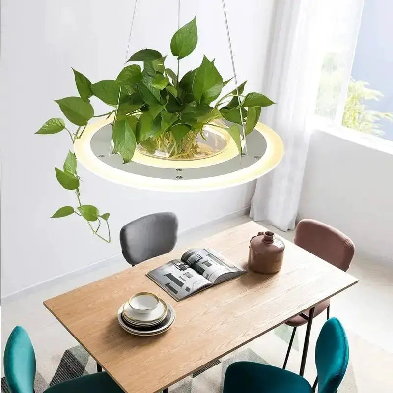 Decorbites modern white and gray planter light ceiling pendant with LED ring and plant on Tampa Home & Garden Store