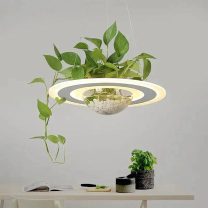 Planter LED pendant ceiling light in white and gray with circular rings and glass bowl planter on Tampa Home & Garden Store