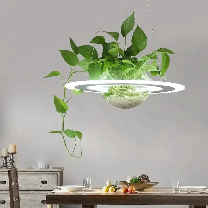 Planter light pendant modern white and gray with circular LED ring and glass bowl by Decorbites on Tampa Home & Garden Store