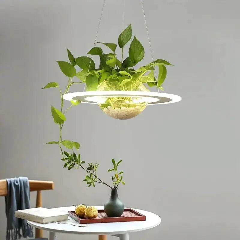 Planter light ceiling pendant with white LED ring and hanging glass planter greenery on Tampa Home & Garden Store