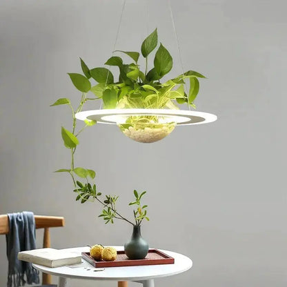 Planter light ceiling pendant with white LED ring and hanging glass planter greenery on Tampa Home & Garden Store