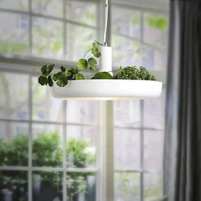 Modern white circular planter pendant light with greenery for living room decor on Tampa Home & Garden Store