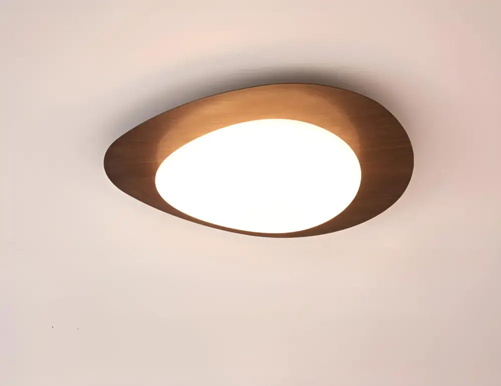 Walnut oval acrylic ceiling light flush mount by Decorbites on Tampa Home & Garden Store