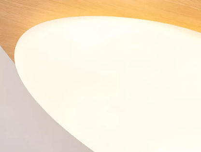 Walnut Oval Acrylic Ceiling Light with white diffuser, flush mount on Tampa Home & Garden Store