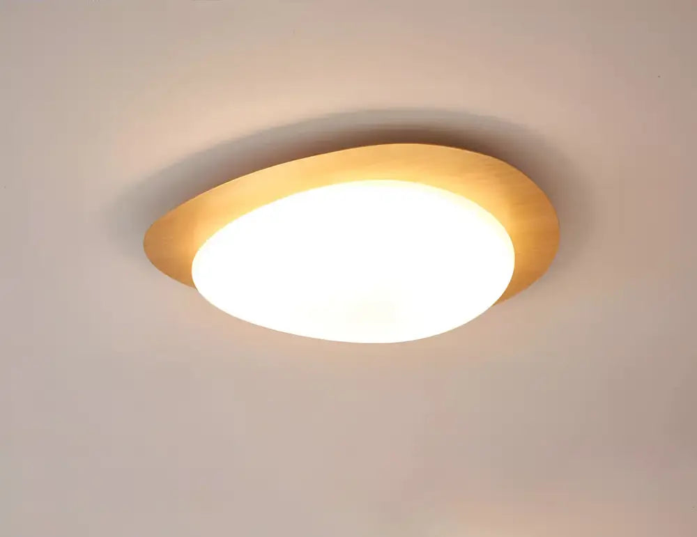 Walnut oval acrylic ceiling light flush mount by Decorbites with warm white diffuser on Tampa Home & Garden Store