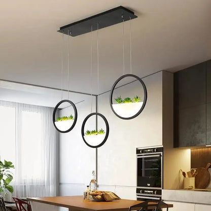 Modern black round planter LED chandelier pendant light by Decorbites with three rings on Tampa Home & Garden Store