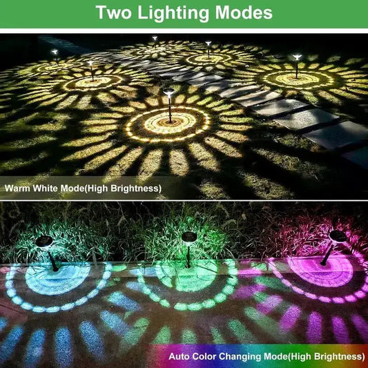 Flower-pattern solar pathway lights with warm white and color-changing modes by Decorbites on Tampa Home & Garden Store