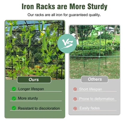Tall black metal arched trellis; Decorbites plant stand climbing vines, Ours vs Others panel on Tampa Home & Garden Store