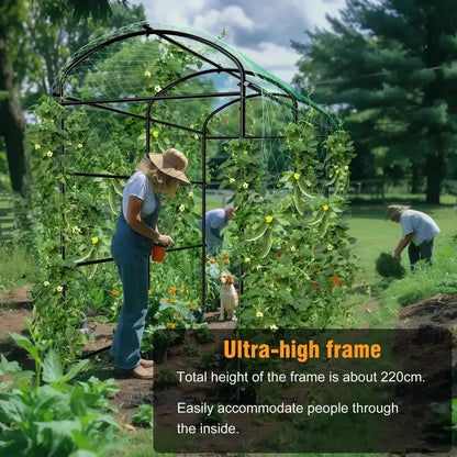 Tall black metal arched trellis by Decorbites with climbing vines, ultra-high 220cm frame on Tampa Home & Garden Store