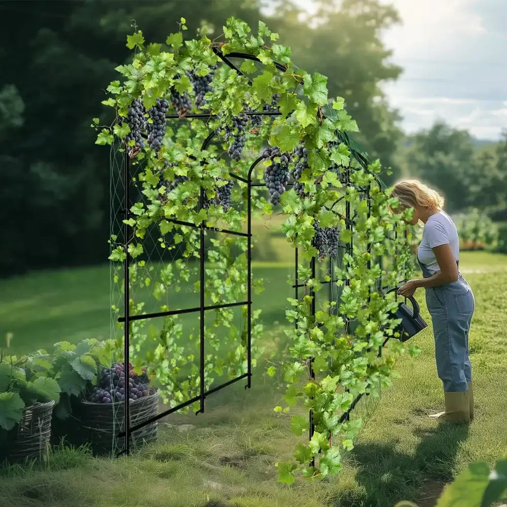 Tall black metal arched Decorbites garden trellis with grapevines and clusters on Tampa Home & Garden Store