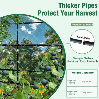 Tall black metal arched garden plant trellis by Decorbites with cross lattice for vines on Tampa Home & Garden Store