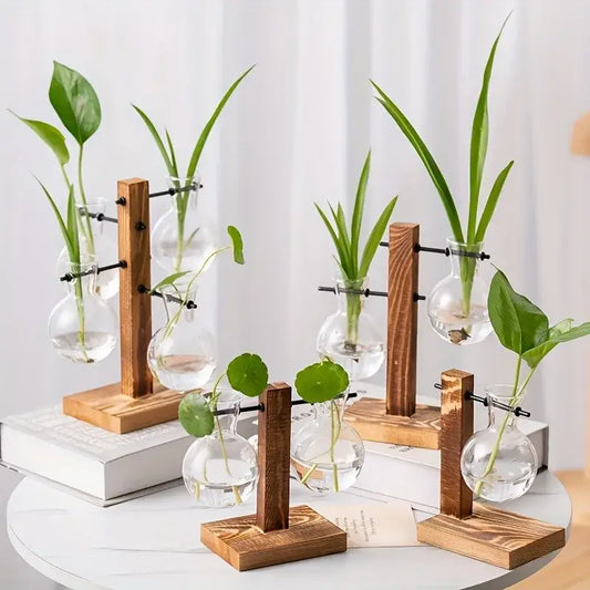 Vintage hydroponic glass vase for desktop plant propagation