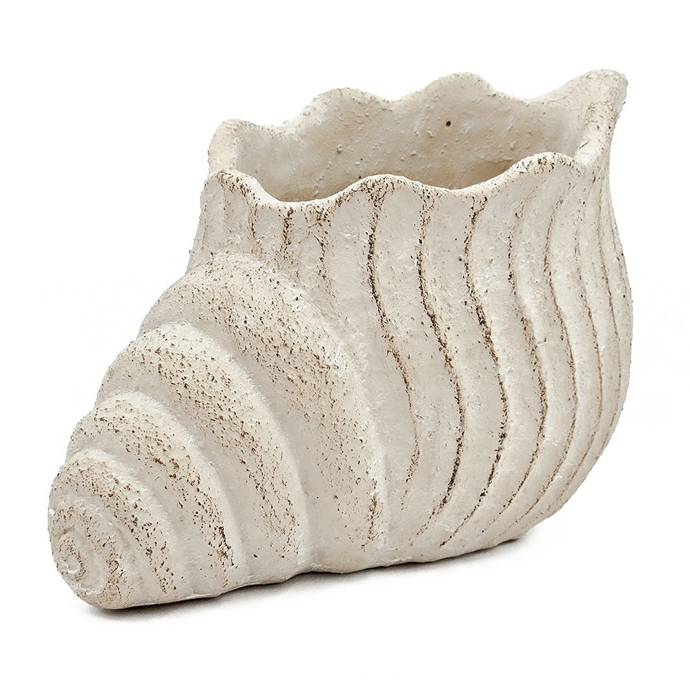 Nautilus shell planter by HouseOfZazla, textured beige cement finish with ribbed spiral on Tampa Home & Garden Store