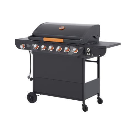 6 Burner Propane Gas Grill for a Backyard