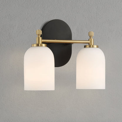 2-light vanity wall sconce with frosted glass shades, black backplate and brass hardware on Tampa Home & Garden Store