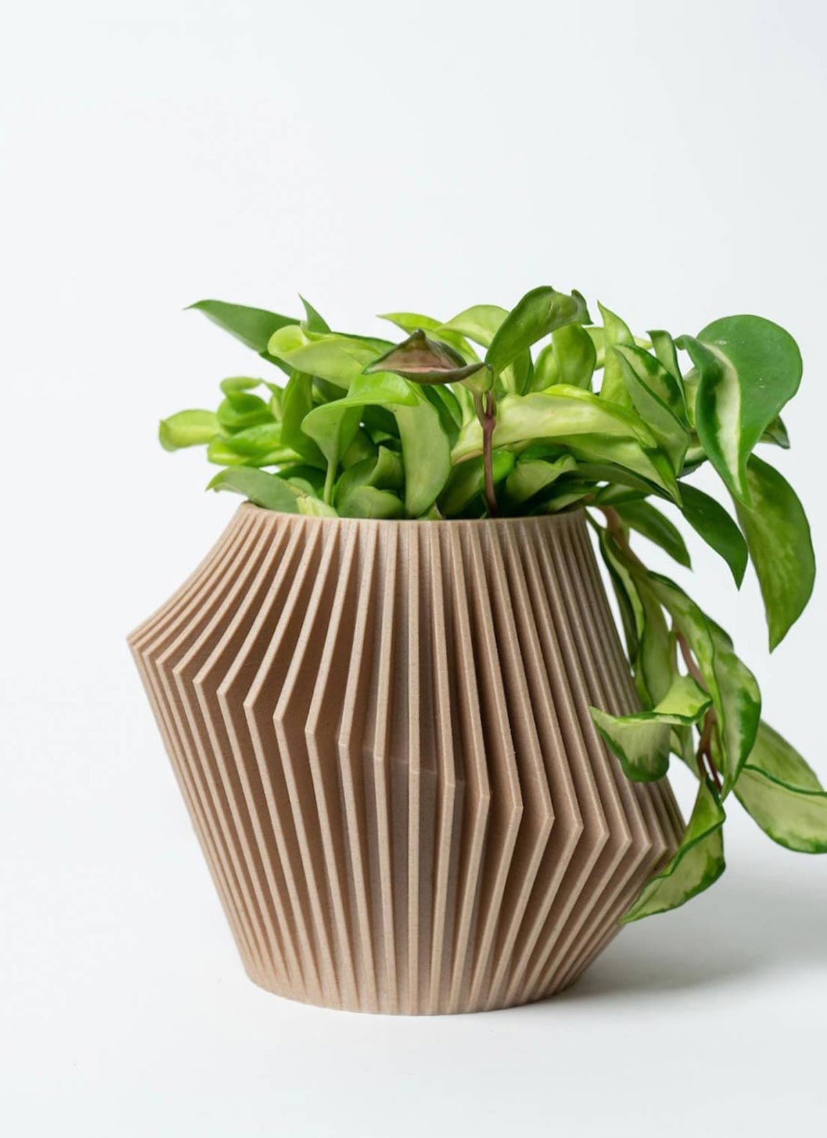 Disc Modern Indoor Planter