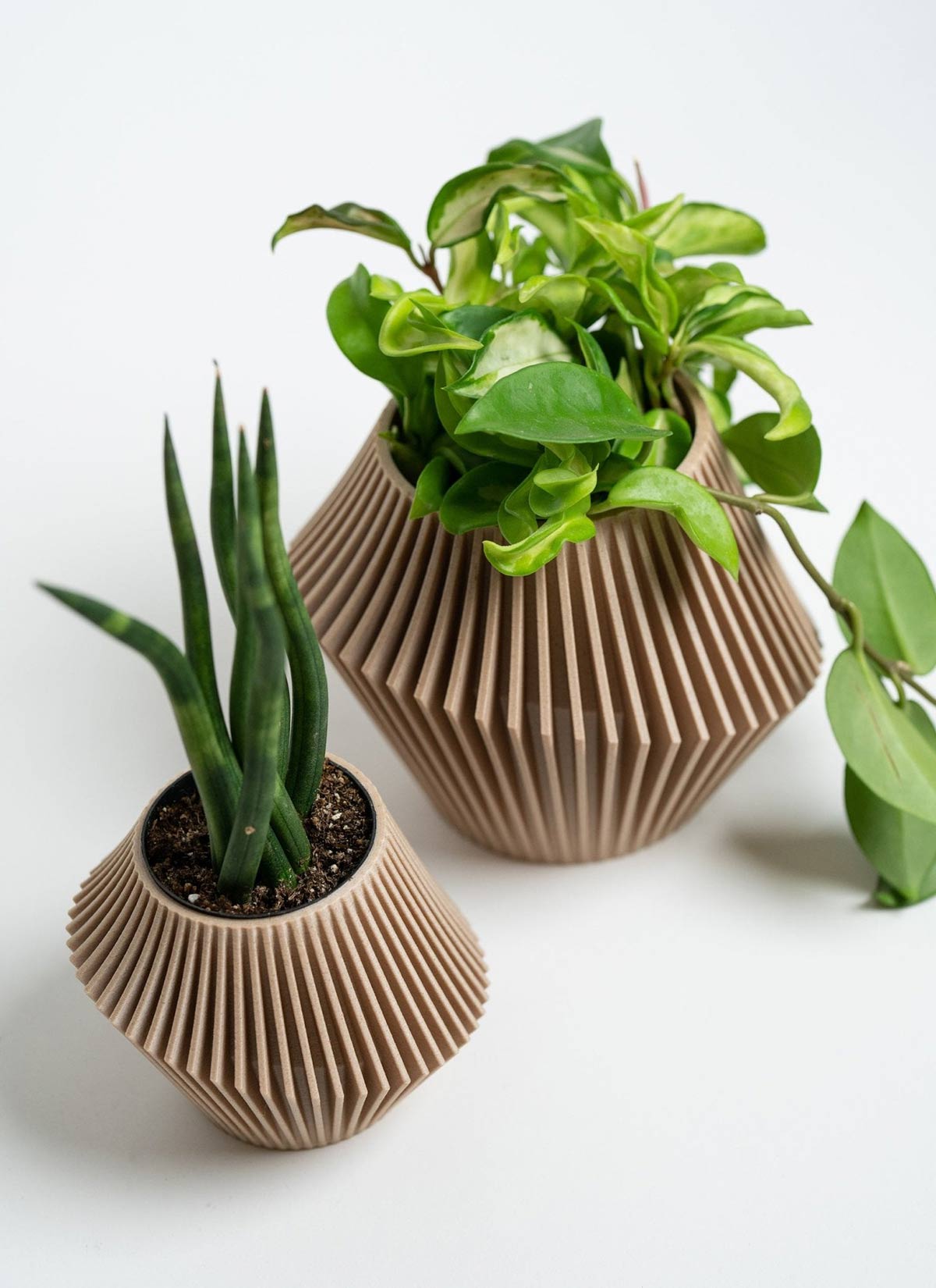 Disc Modern Indoor Planter