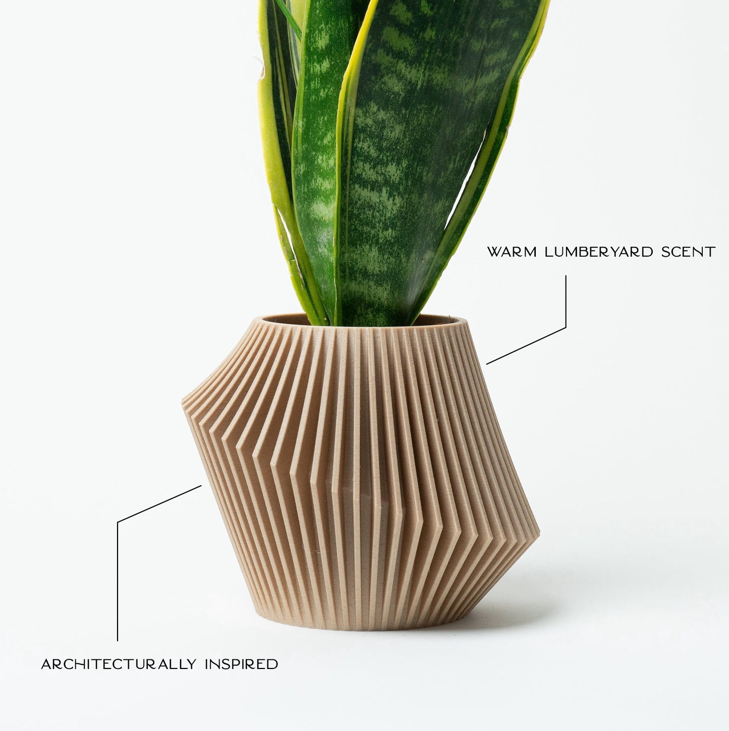 Disc Modern Indoor Planter