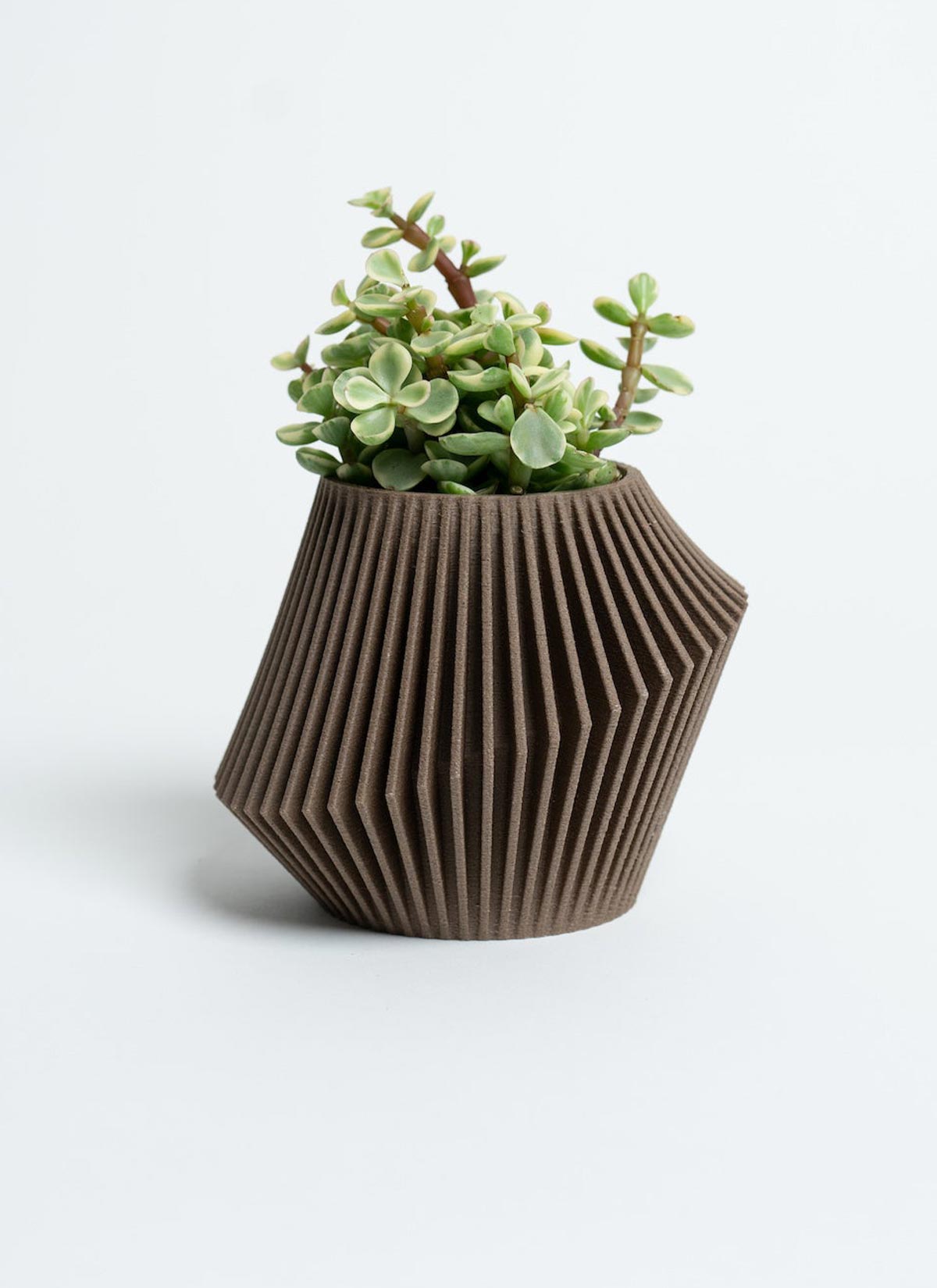 Disc Modern Indoor Planter