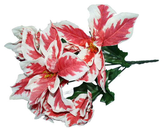 Tallo de flor de Pascua abigarrado de 13 pulgadas rojo/blanco