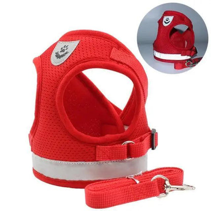 Dog harness and leash set red nylon mesh, Stevvex, for small/medium dogs, reflective, adjustable on Tampa Home & Garden Store