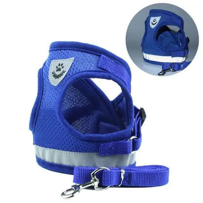 Stevvex blue mesh dog harness and leash set for small dogs, adjustable, reflective strip on Tampa Home & Garden Store