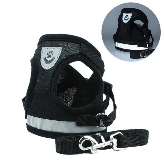 Stevvex dog harness and leash set for small dogs, black nylon mesh vest with reflective trim on Tampa Home & Garden Store