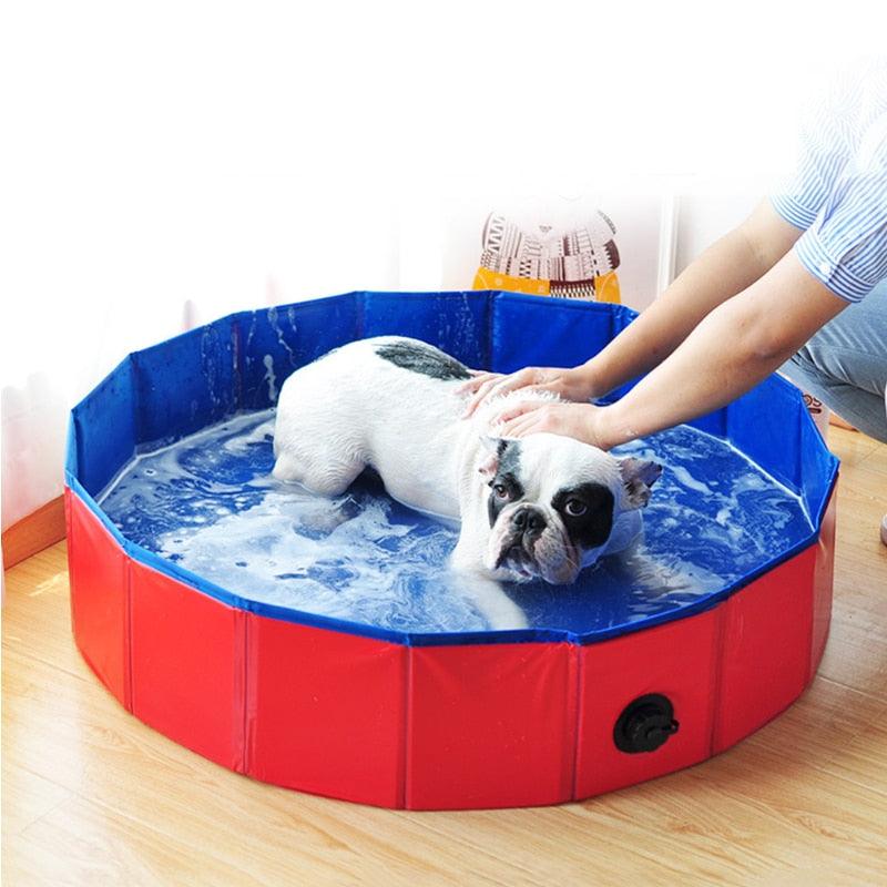 Foldable dog pool with red and blue PVC for pet bathing Stevvex HM99WP543CSE on Tampa Home & Garden Store