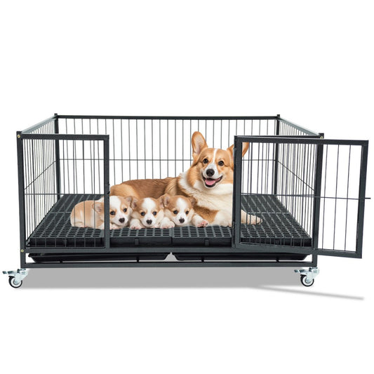 43" Puppy Whelping Box | Upgraded WHLP02