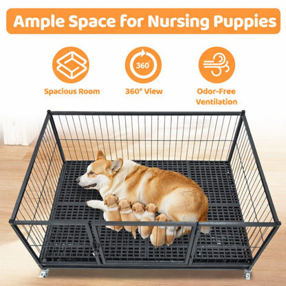 42-inch stackable dog crate, black metal wire with casters, mother corgi and five puppies inside on Tampa Home & Garden Store