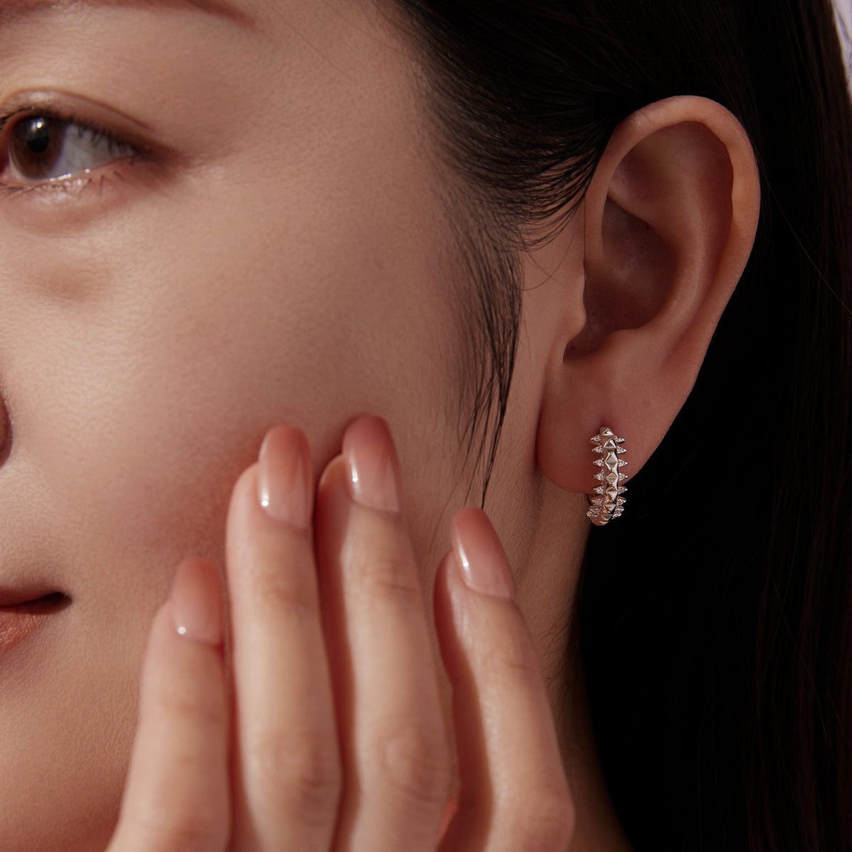 Pavé CZ hoop earrings, 1.6cm, silver-tone with white gold plating on Tampa Home & Garden Store