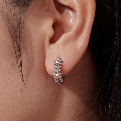 Hoop earrings 925 sterling silver white gold plated pavé CZ, 1.6cm for women on Tampa Home & Garden Store