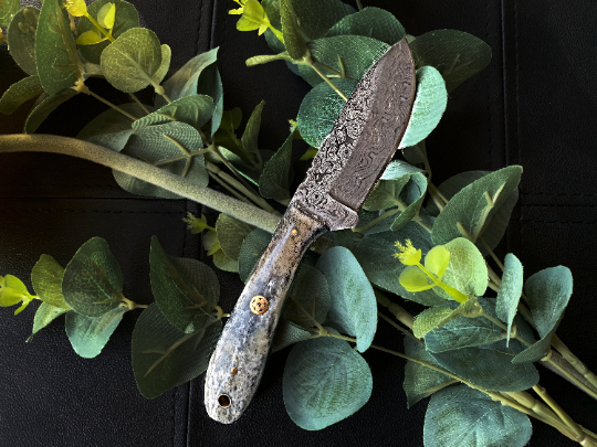 Damascus Steel EDC knife Titan Sparrow TD-603 with gray textured handle and dark blade on Tampa Home & Garden Store